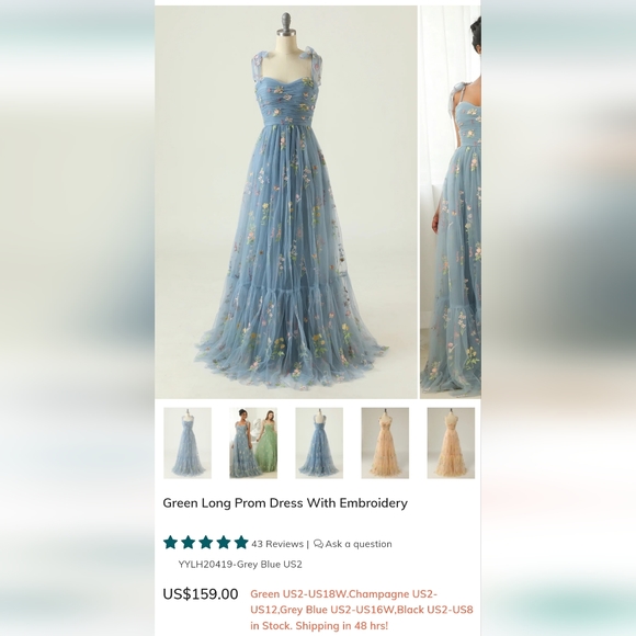 Baby Blue Long Prom Dress With Embroidery - Picture 4 of 6